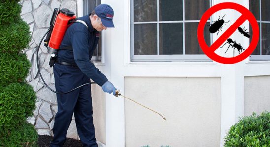 Mazgirt Akrep İlaçlama böcek ilaçlama ve haşere kontrolü — ilaclama-tr.com
